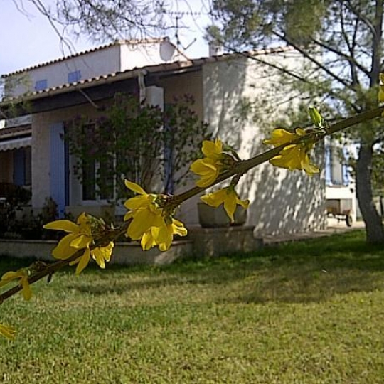  SISYPHE immobilier : Maison / Villa | MARIGNANE (13700) | 110 m2 | 393 000 &euro; 