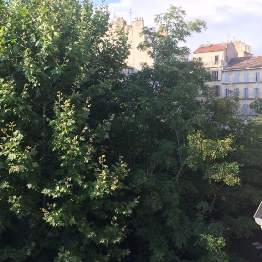 SISYPHE immobilier : Apartment | MARSEILLE (13001) | 36.00m2 | 155 000 € 