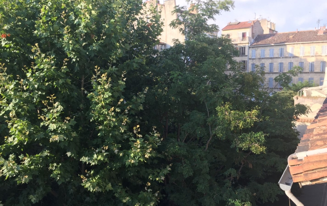 SISYPHE immobilier : Appartement | MARSEILLE (13001) | 36 m2 | 155 000 € 
